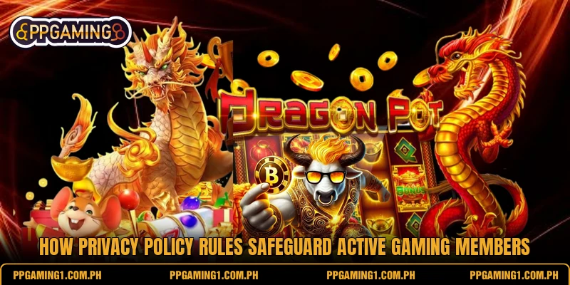 How privacy policy rules safeguard active gaming members How privacy policy rules safeguard active gaming members