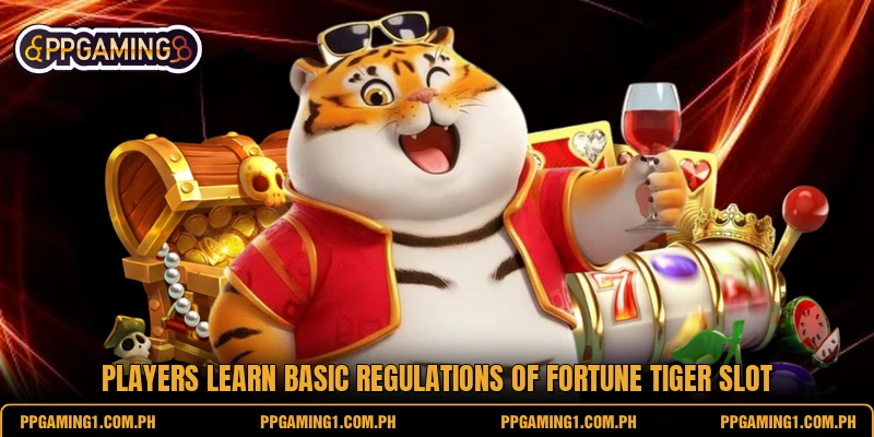 Players learn basic regulations of fortune tiger slot