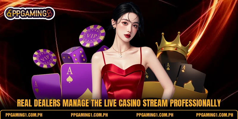 Real dealers manage the live casino stream professionally Real dealers manage the live casino stream professionally