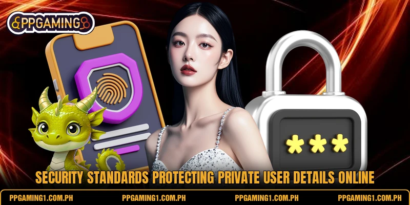 Security standards protecting private user details online Security standards protecting private user details online